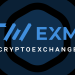 Everything You Must Know About Exmoc Coin