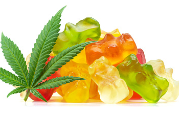 Can CBD Help You to Maintain a Healthy Lifestyle?