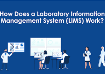 The Emergence of Psychedelic Drugs and the Need for Their Quality Testing