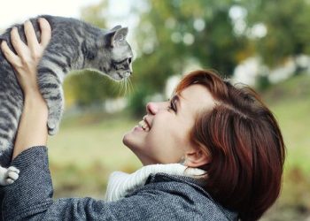 Lost Your Cat? Follow These 9 Tips to Find it