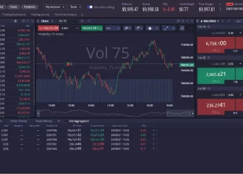 Deriv trading review about Trading Platforms