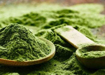 Uncovering the Benefits of Kratom Gummies: Get to Know the Alkaloid Percentage