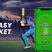 Creating Multiple Teams & Other Critical Fantasy Cricket Strategies for You to Know