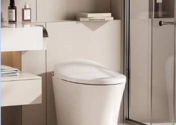 Discovering the Benefits of a Toilet with Built-In Bidet: The Horow Advantage